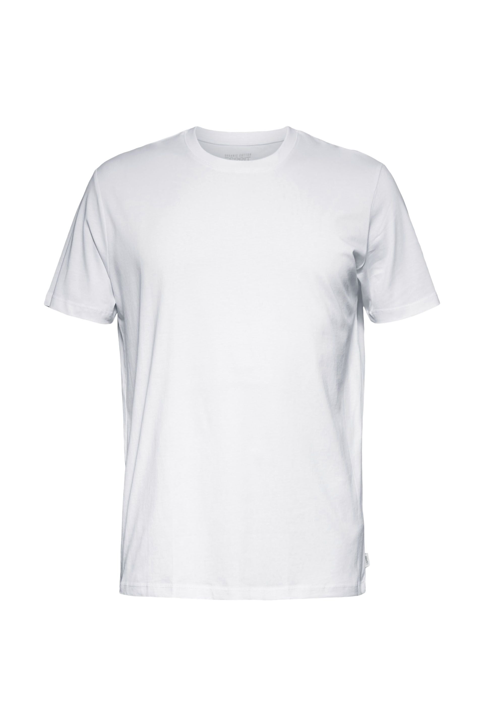 Jersey T-Shirt, 100% Baumwolle