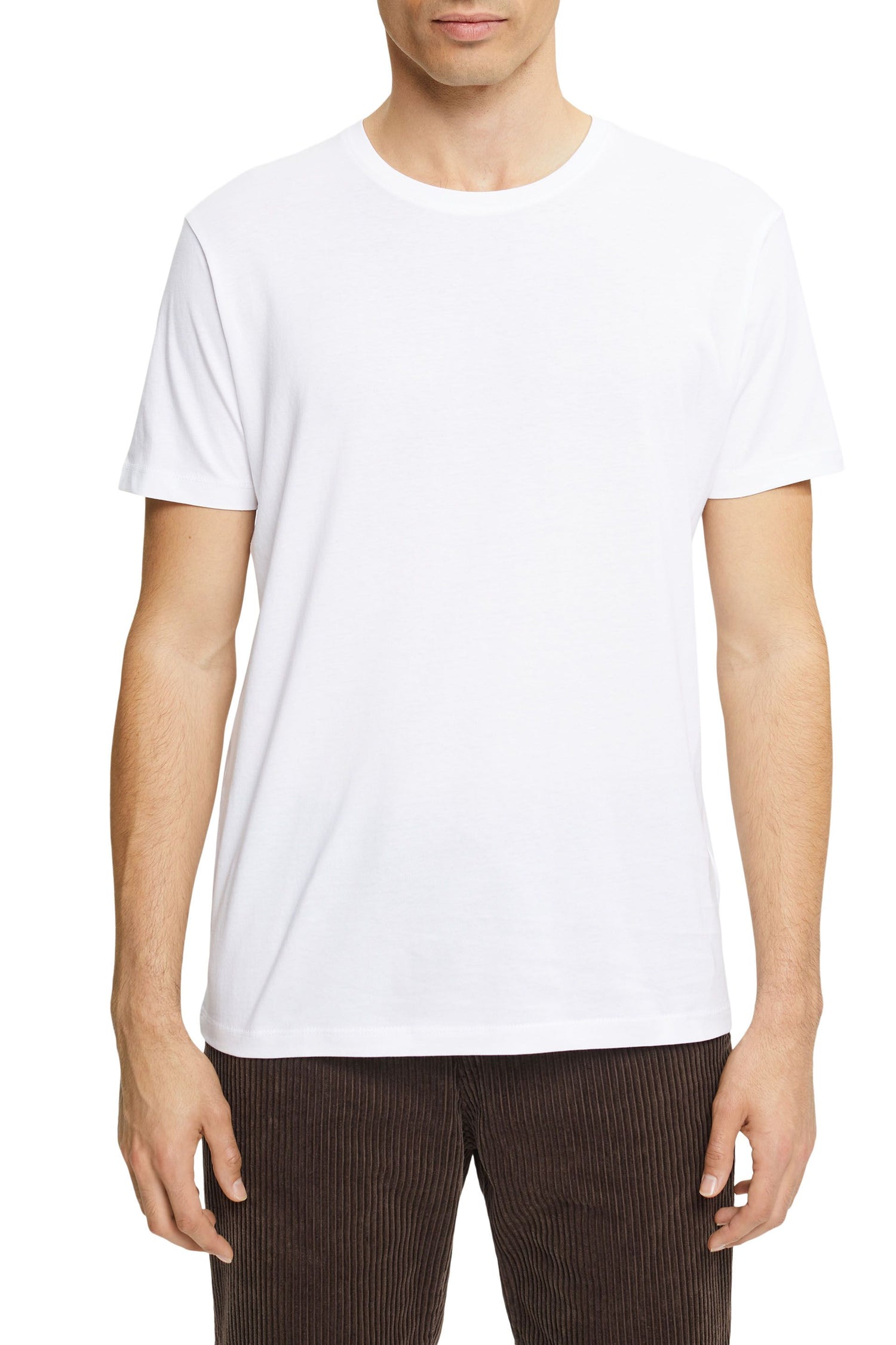 Jersey T-Shirt, 100% Baumwolle