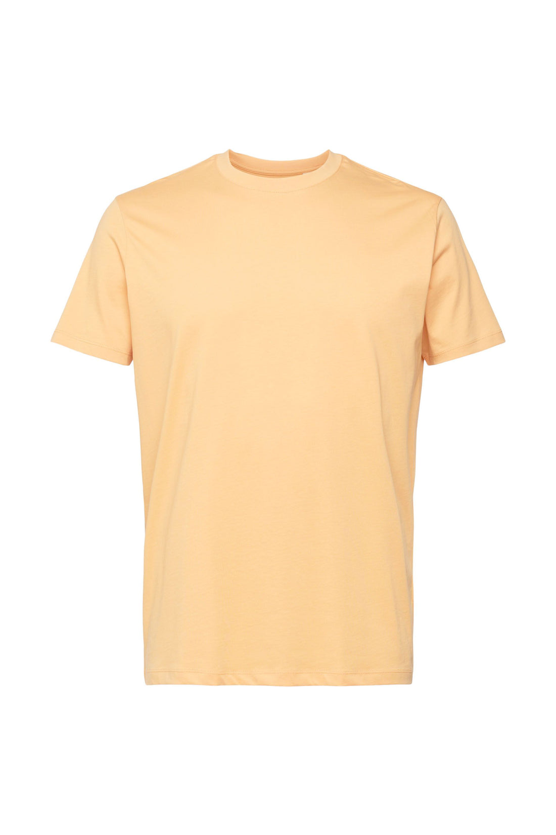 Jersey T-Shirt, 100% Baumwolle