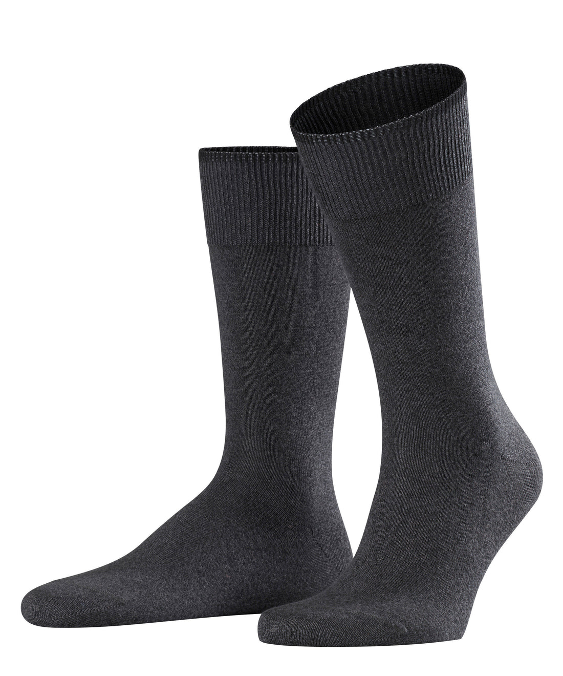 Socken Graduate 39-42